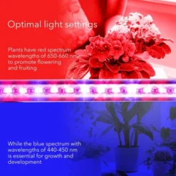 Dartwood LED Grow Lights For Indoor Plants With Red Blue Spectrum - Plant Grow Light With 9 Brightness Levels, Auto On Off Function (2 Pack) 13 Dartwood LED Grow Lights For Indoor Plants With Red Blue Spectrum - Plant Grow Light With 9 Brightness Levels, Auto On Off Function (2 Pack) -Garden Promotional Store GUEST 00dbe90d 2471 439c a428 ae6c053a48d8