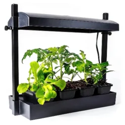SunBlaster 1600218 T5HO Indoor Canopy Micro Grow Light Garden System With 1, 12-Inch 11-Watt 6400K Strip Light & 1 NanoTech T5 Reflector, Black -Garden Promotional Store GUEST 02dc1883 af79 4b04 bbf7 467ddc3ca9fc