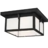 Sea Gull Lighting Two Light Outdoor Flush Mount 1 Sea Gull Lighting Two Light Outdoor Flush Mount -Garden Promotional Store GUEST 07e96c07 157f 4ed0 88e7 0b9713498ee5