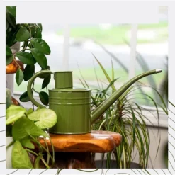 Homarden 34oz Green Long Spout Metal Watering Can Perfect For Outdoor & Indoor Plants 7 Homarden 34oz Green Long Spout Metal Watering Can Perfect For Outdoor & Indoor Plants -Garden Promotional Store GUEST 0daf9007 9ae9 4f8f a2a9 09bf5c3d4cbf