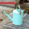 Homarden 1 Gallon Metal Watering Can With Removable Spout, Teal -Garden Promotional Store GUEST 13320c14 e619 4cfa ab6a 68ce3abb179f