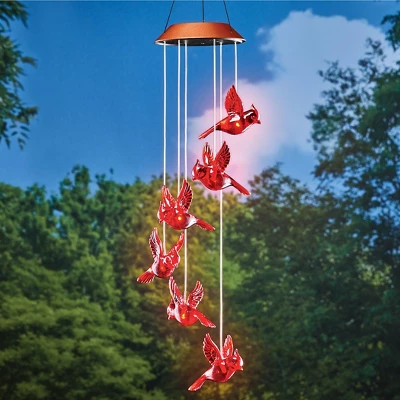 Collections Etc Sparkling Solar Hanging Cardinal Outdoor Garden Mobile 5 X 5 X 30 Red 3 Collections Etc Sparkling Solar Hanging Cardinal Outdoor Garden Mobile 5 X 5 X 30 Red