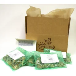 Spring Time Favorites Bulb Collection Set Of 75 Bulbs - Red/Yellow/Blue - Van Zyverden -Garden Promotional Store GUEST 1c92ff0d 6ce8 4ecb 95c8 1348a4314696