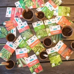 Back To The Roots 20pk Organic USA Herbs And Vegetable Seeds 13 Back To The Roots 20pk Organic USA Herbs And Vegetable Seeds -Garden Promotional Store GUEST 25174905 b564 4663 a98c 918794c8af71