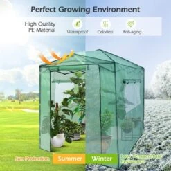 Costway 6'x 8' Portable Walk-in Greenhouse Pop-up Folding Plant Gardening W/Window 16 Costway 6'x 8' Portable Walk-in Greenhouse Pop-up Folding Plant Gardening W/Window -Garden Promotional Store GUEST 2942a700 4cf5 4167 8506 77d0e8032a12