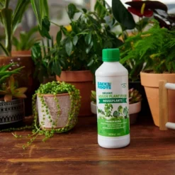 Back To The Roots All Purpose Plant Food 1.5lb -Garden Promotional Store GUEST 2a893afa c9ea 4ab3 ac02 b1dcb2c600cd