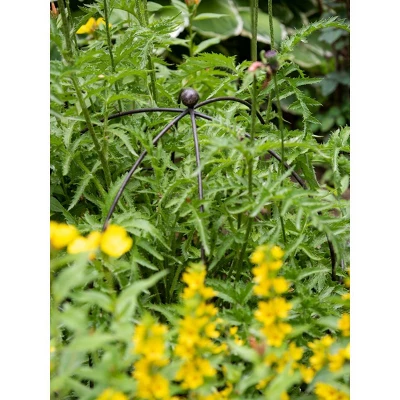 Gardeners Supply Company Jardin Bird Cage Plant Support | Large Sturdy Grow-Through Steel Flower Trellis And Garden Decor | Best To Support Peonies, 3 Gardeners Supply Company Jardin Bird Cage Plant Support | Large Sturdy Grow-Through Steel Flower Trellis And Garden Decor | Best To Support Peonies,