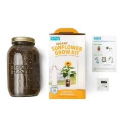 Back To The Roots Organic Sunflower Grow Kit -Garden Promotional Store GUEST 2f04d7e8 ace1 450b 93e3 7a6643d2d00d