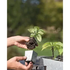 Gardener's Supply Company Galvanized Steel Seed Starter Tray | Heavy Duty Metal Greenhouse Seed Starting Tray With 24 Removable Cells | Indoor & -Garden Promotional Store GUEST 316b353e 7b9c 4a0d 9d4d eae27ca15b6b