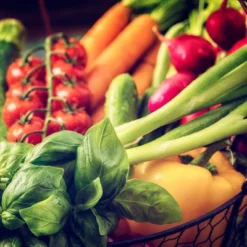 Back To The Roots 20pk Organic USA Herbs And Vegetable Seeds 12 Back To The Roots 20pk Organic USA Herbs And Vegetable Seeds -Garden Promotional Store GUEST 32a4f4b8 1a47 4ba6 be5a 5d7632f360ad