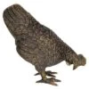 Design Toscano Barnyard Hen Solid Cast Bronze Garden Statue 2 Design Toscano Barnyard Hen Solid Cast Bronze Garden Statue -Garden Promotional Store GUEST 35831996 b304 4283 a78a 3a4887666fd8