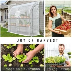 Outsunny 7' X 3' X 7' Outdoor Walk-In Greenhouse, Plant Nursery With Roll-up Windows, PE Cover, And 3 Wire Shelves -Garden Promotional Store GUEST 3951dfa8 85cd 4cc6 babe 3d0b4a3adfcc