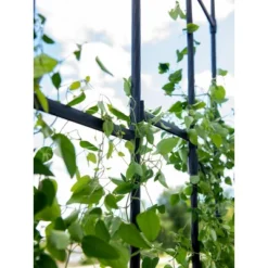 Gardener's Supply Company | Titan Half Arch | Decorative Garden Arch For Backyard, Patio, Courtyard | Durable Weatherproof Steel Support For Climbing -Garden Promotional Store GUEST 39a109ed b1f3 4352 b330 8c54f3689f81