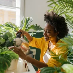 Back To The Roots All Purpose Plant Food 1.5lb -Garden Promotional Store GUEST 3f6d251c b8d7 4d56 bf20 80216fc4f3e4