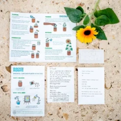 Back To The Roots Organic Sunflower Grow Kit -Garden Promotional Store GUEST 4135958c b71c 4ba1 beff 5c992cca4459
