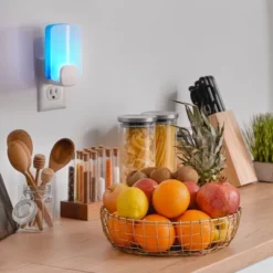 Raid Essentials Flying Insect Light Trap Starter Kit - 1 Device + 1 Refill -Garden Promotional Store GUEST 45e610e2 27e5 4d56 af02 7826bf8097aa