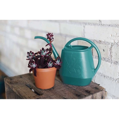 1.2gal Watering Can - Bloem 4 1.2gal Watering Can - Bloem - Image 2