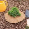 Envelor 15pk 11" Coco Coir Plant Cover Mulch Mat -Garden Promotional Store GUEST 4fd25800 9f62 4b65 b6af 64815d94320c