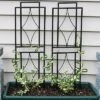 Sunnydaze Decor Sunnydaze Contemporary Metal Wire Garden Trellis For Climbing Plants And Flowers - 30" H - Black - 2-Pack -Garden Promotional Store GUEST 5322f238 b970 4e39 b174 80e7dafe988e