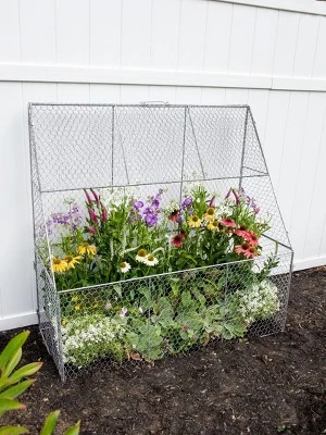 Gardener’s Supply Company Chicken Wire Cloche Flat Back Crop Coop | Sturdy Metal Flower, Garden Plants, And Backyard Vegetables Cover Protector | 20"D 3 Gardener’s Supply Company Chicken Wire Cloche Flat Back Crop Coop | Sturdy Metal Flower, Garden Plants, And Backyard Vegetables Cover Protector | 20"D