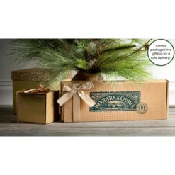 Woodstock Wind Chimes Signature Collection, Pipedream, 11'' Silver Wind Chime PDN 11 Woodstock Wind Chimes Signature Collection, Pipedream, 11'' Silver Wind Chime PDN -Garden Promotional Store GUEST 55a950c0 d183 4575 91f2 9d9d97df3920