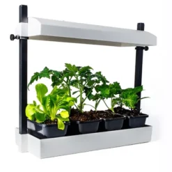 SunBlaster SL1600199 T5HO Micro T5 Grow Light Garden W/Reflector & 4 Seedling Trays For Flower, Herbs, And Veggie Seed Starting Or Plant Propagation 7 SunBlaster SL1600199 T5HO Micro T5 Grow Light Garden W/Reflector & 4 Seedling Trays For Flower, Herbs, And Veggie Seed Starting Or Plant Propagation -Garden Promotional Store GUEST 55fa7068 12a7 42dd 90b3 bd0611b76f76