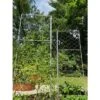 Gardener's Supply Company Chicken Wire Pea Trellis For Climbing Plants | Multi-Use Heavy Duty Outdoor Garden Peas, Tomato, Cucumber Plant Support | -Garden Promotional Store GUEST 5da09339 4654 4a4e 99ec 7ae133707b35