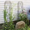 Sunnydaze Decorative Steel Metal Chic Diamonds Design Garden Trellis - Black - 2-Pack -Garden Promotional Store GUEST 60e44b50 210a 42e7 b346 e8a88060085c