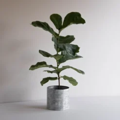 White Metal Planter - Foreside Home & Garden -Garden Promotional Store GUEST 6336c2b1 cf98 445f 8c0d 2624d5362095