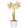 Van Zyverden Amaryllis White/Pink Impatient Flower Bulb -Garden Promotional Store GUEST 6a1f138e d4d7 4c6e 8f15 2d40da31fa87