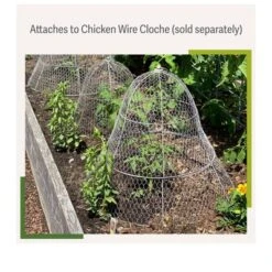 Gardener’s Supply Company Sturdy Chicken Wire Cloche Plant Protector Extension | Adds Broader Area Coverage Protection For Tall Plants Vegetables & -Garden Promotional Store GUEST 6d9b9cff 2d70 468b bd6c 21109121c8b2