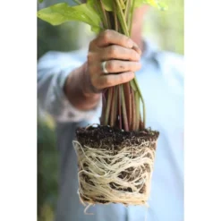 Good Dirt Naturals Indoor/Outdoor Plant Food - 15 Fl Oz -Garden Promotional Store GUEST 7911ed93 91c5 452d 80a6 57f63806691c