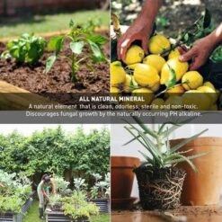 Palmetto 18 Pound Organic Grade 3 Coarse Vermiculite Planting Soil Additive For Greenhouse Gardening, Hydroponic, And Landscaping, 4 Cubic Feet -Garden Promotional Store GUEST 88e6e075 4a97 42c0 b3f6 1768493d503a