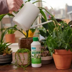 Back To The Roots All Purpose Plant Food 1.5lb -Garden Promotional Store GUEST 8fbcf9d4 ba24 4538 b5cb ed69acfa3bc0