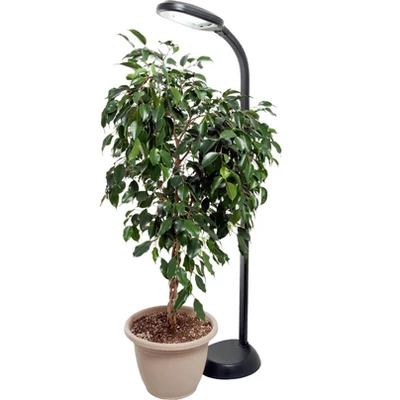 Hydrofarm Agrobrite FLF27DF 27W 120V Indoor Gooseneck Adjustable 48' To 61' Standing Plant Lamp Light With 6 Foot Power Cord, Black 6 Hydrofarm Agrobrite FLF27DF 27W 120V Indoor Gooseneck Adjustable 48' To 61' Standing Plant Lamp Light With 6 Foot Power Cord, Black - Image 4