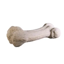 Design Toscano Gigantic Dinosaur Bone Sculpture -Garden Promotional Store GUEST 9a90ab5b 6213 42a3 ba6a 29b642898766