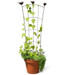 Gardener's Supply Company 'Flock Of Friends' Garden & Container Pot Trellis | Sturdy Steel Frame For Climbing Vining Plants & Flowers - 48" High