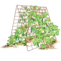 Deluxe Cucumber Trellis -Garden Promotional Store GUEST 9bdaecf6 347d 48c6 950d 2fd9b882c806