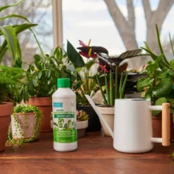 Back To The Roots All Purpose Plant Food 1.5lb -Garden Promotional Store GUEST a2fc6aca 34a4 4fc2 aee8 c0aa641d9d62