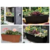 Bloem Rectangular Dura Cotta Window Box 2 Bloem Rectangular Dura Cotta Window Box -Garden Promotional Store GUEST a31865b3 d4c8 4756 9bbb b006d684bc93