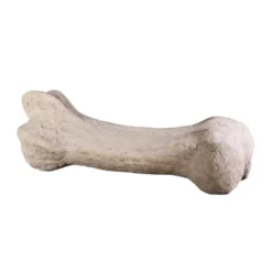 Design Toscano Gigantic Dinosaur Bone Sculpture -Garden Promotional Store GUEST a55e29c2 045c 4334 8e37 4f7ac27d8e2b