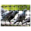 100'x14' Standard Bird Netting - Bird-X 2 100'x14' Standard Bird Netting - Bird-X -Garden Promotional Store GUEST a7c37092 a696 4d5f b15f fe91818d6eff