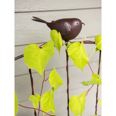 Gardener's Supply Company 'Flock Of Friends' Garden & Container Pot Trellis | Sturdy Steel Frame For Climbing Vining Plants & Flowers - 48" High 4 Gardener's Supply Company 'Flock Of Friends' Garden & Container Pot Trellis | Sturdy Steel Frame For Climbing Vining Plants & Flowers - 48" High - Image 2