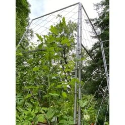 Gardener's Supply Company Chicken Wire Pea Trellis For Climbing Plants | Multi-Use Heavy Duty Outdoor Garden Peas, Tomato, Cucumber Plant Support | -Garden Promotional Store GUEST ab7477bf 9d33 45a3 9b47 25a12d6b9070