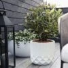 LuxenHome 14.7 In. Round Modern White MgO Planter 1 LuxenHome 14.7 In. Round Modern White MgO Planter -Garden Promotional Store GUEST afbb2e03 fa60 428a 9f63 c970e800e27a