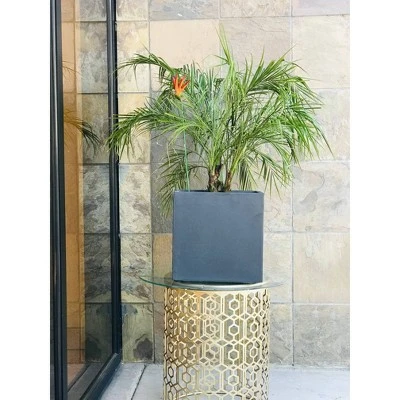 Rosemead Home & Garden, Inc. 12" Wide Kante Lightweight Modern Outdoor Concrete Square Decorative Planter Charcoal Black 6 Rosemead Home & Garden, Inc. 12" Wide Kante Lightweight Modern Outdoor Concrete Square Decorative Planter Charcoal Black - Image 4