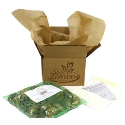 25ct Paperwhites Bulbs - Van Zyverden -Garden Promotional Store GUEST bc77edb8 ae2e 4f65 80b4 613a97ad577f 4