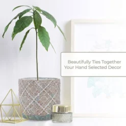 Inspirella 6.3 Inch Timeless Colorful Hand Painted Glazed Ceramic Round Indoor Outdoor Succulent Plant Pots With Drainage Holes And Plugs (2 Pack) 8 Inspirella 6.3 Inch Timeless Colorful Hand Painted Glazed Ceramic Round Indoor Outdoor Succulent Plant Pots With Drainage Holes And Plugs (2 Pack) -Garden Promotional Store GUEST c0296709 64f5 4bc7 b695 81e5c09045cf