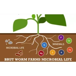 Brut Worm Farms All Organic Fertilizer Worm Castings Filled With Nutrients And Minerals For A Variety Of Indoor And Outdoor Plants, 30 Pounds (2 Pack) 7 Brut Worm Farms All Organic Fertilizer Worm Castings Filled With Nutrients And Minerals For A Variety Of Indoor And Outdoor Plants, 30 Pounds (2 Pack) -Garden Promotional Store GUEST c5ae6098 fe14 45f4 9a92 da8a7237698f