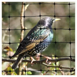 100'x14' Standard Bird Netting - Bird-X -Garden Promotional Store GUEST ccd1100d ffba 4069 8e6f ec685ee84616